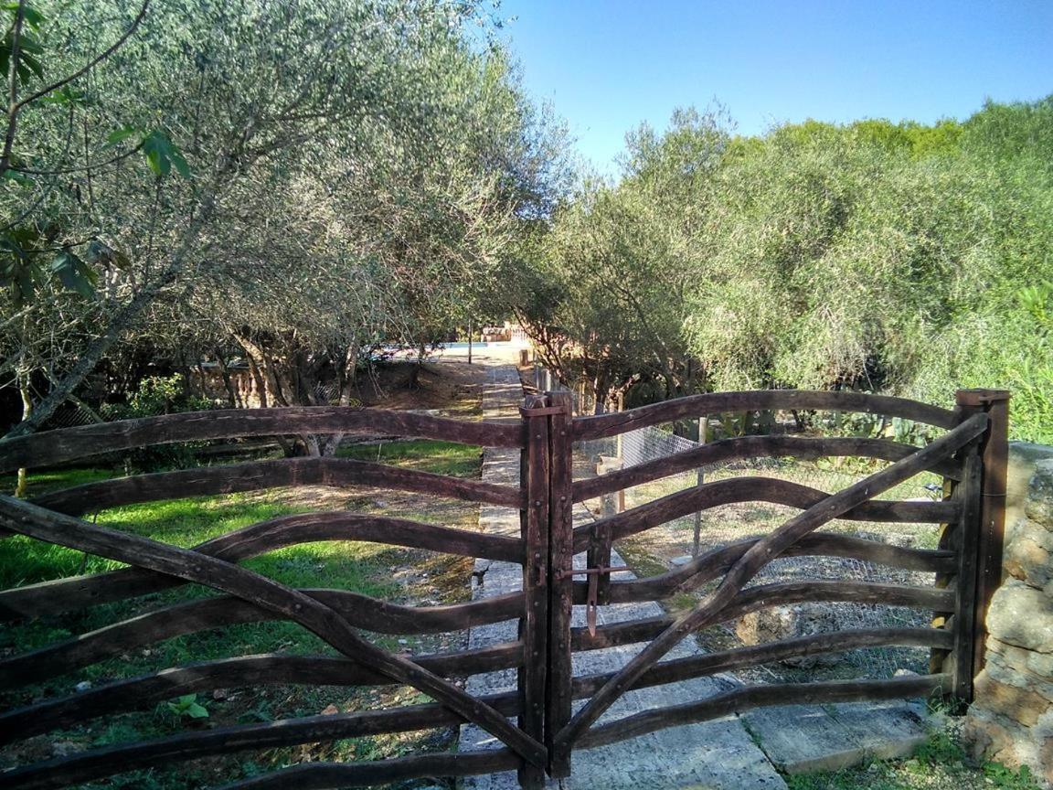 Son Sureda Farm stay *